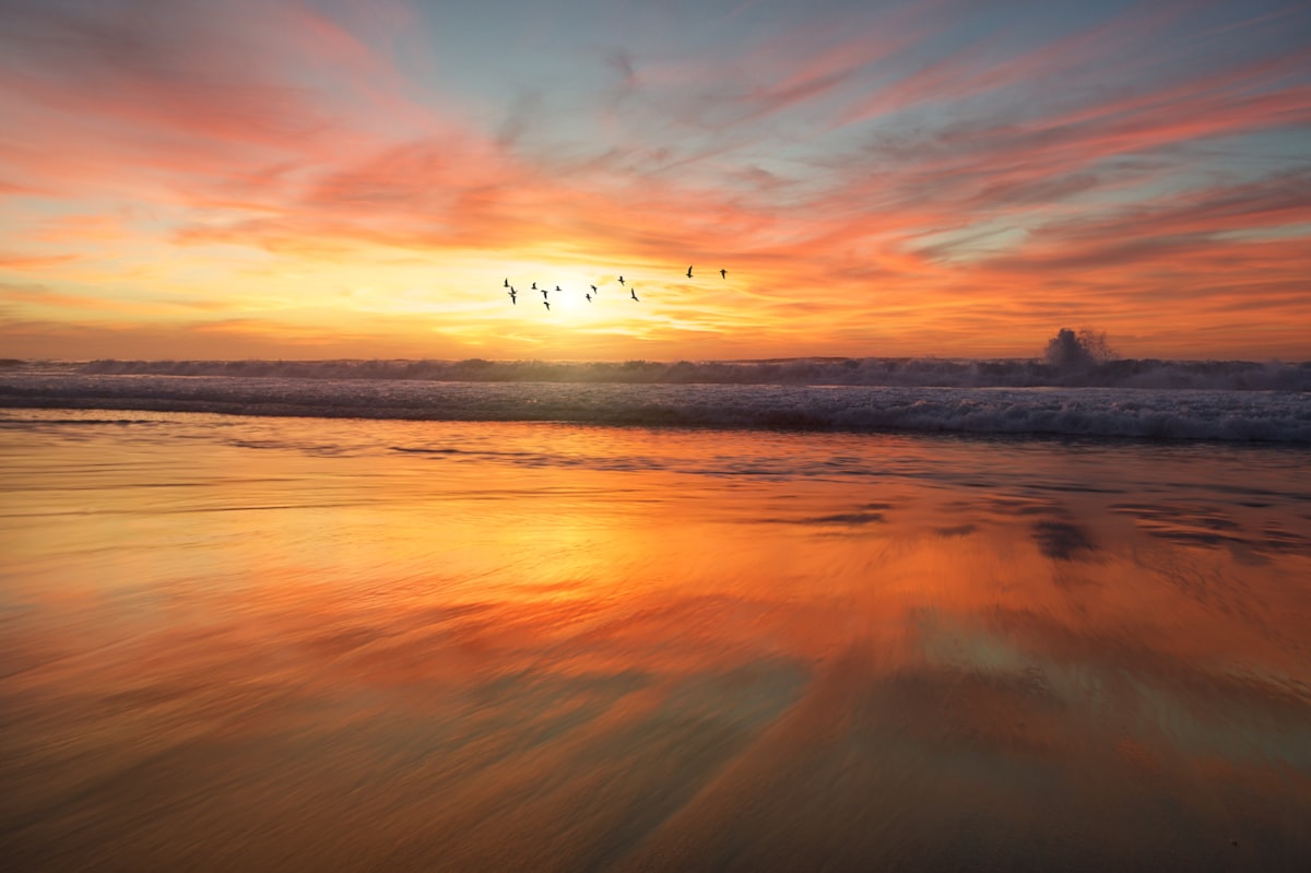 Why Stillness Heals — VrittiSpace journal